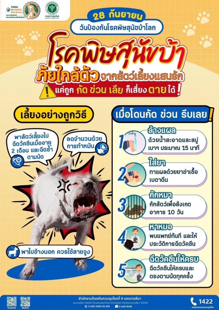ป้องกันอันตรายจากโรคพิษสุนัขบ้า